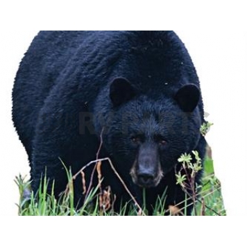 MOSSY OAK Body Graphics - Giant Black Bear Stalking Cutout True Color - 23071C