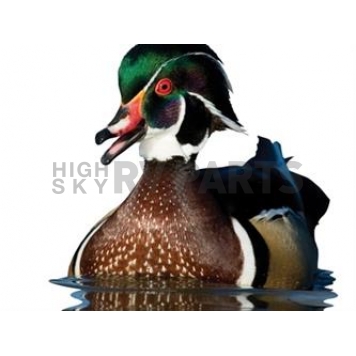 MOSSY OAK Body Graphics - Wood Duck In Water Cutout True Color - 23072C