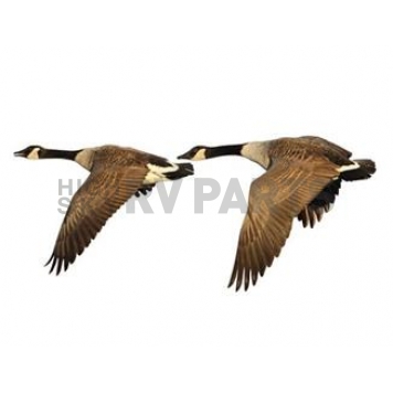 MOSSY OAK Body Graphics - Canada Goose Flying Cutout True Color - 24002C