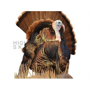 MOSSY OAK Body Graphics - Eastern Turkey In Tall Grass Cutout True Color - 24027C