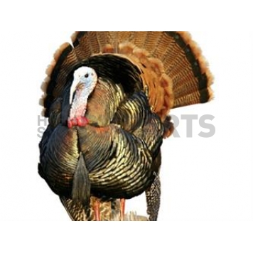 MOSSY OAK Body Graphics - Eastern Turkey Strutting Cutout True Color - 24028C