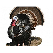 MOSSY OAK Body Graphics - Merriam Turkey In Short Grass Cutout True Color - 24029C