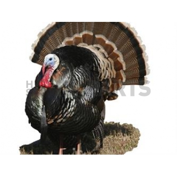 MOSSY OAK Body Graphics - Merriam Turkey In Short Grass Cutout True Color - 24029C