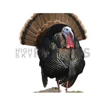 MOSSY OAK Body Graphics - Eastern Turkey Looking To The Left Cutout True Color - 24030C