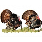 MOSSY OAK Body Graphics - Two Eastern Turkey Strutting Cutout True Color - 24031C
