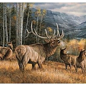 MOSSY OAK Body Graphics - Meadow Music With Elk True Color - 26040F