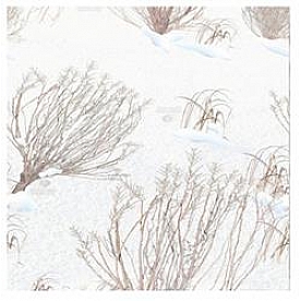 MOSSY OAK Body Graphics - Winter Brush Pattern True Color - 140024WB