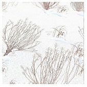 MOSSY OAK Body Graphics - Winter Brush Pattern True Color - 140036WB