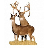 MOSSY OAK Body Graphics - Double Drop Tine Buck With Doe Cutout True Color - 22003C