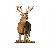 MOSSY OAK Body Graphics - Whitetail Buck With Drop Tine Cutout True Color - 22012C