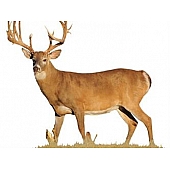 MOSSY OAK Body Graphics - Broadside View Of Whitetail Buck With Sticker Points Cutout True Color - 22016C