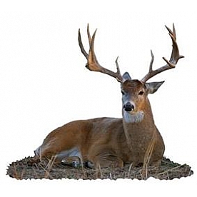 MOSSY OAK Body Graphics - Bedded Buck Cutout True Color - 22041C