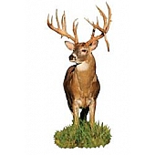 MOSSY OAK Body Graphics - Monster Whitetail Buck With Drop Tyne Cutout True Color - 22043C