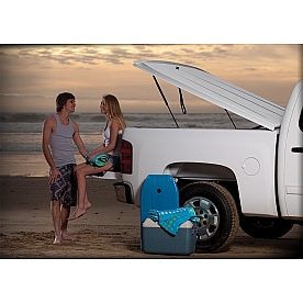UnderCover Tonneau Cover Lift Support - RSIH1202GS