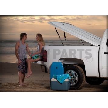 UnderCover Tonneau Cover Lift Support - RSIH1202GS
