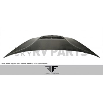 Extreme Dimensions Hood - Carbon Fiber Black - 108391-1