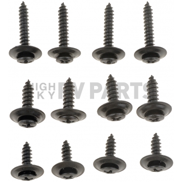 Dorman (OE Solutions) Panel Retainer - Chrome Steel Pack Of 12 - 02409-1