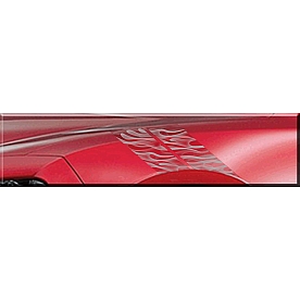 Trimbrite Body Graphics - Clear/ Silver - Ghost Flames - R76015