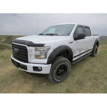 EGR Bug Shield - Acrylic Black Matte Hood And Fender - 303475-4