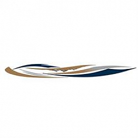 Illusion LLC Body Graphics - RVF001A