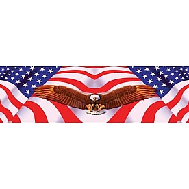 Vantage Point Window Graphics - American Spirit Eagle - 010004L