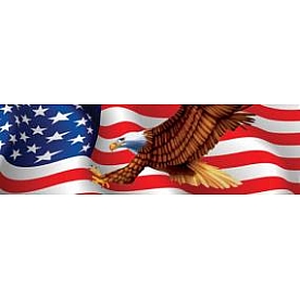 Vantage Point Window Graphics - Patriot Eagle - 010034X