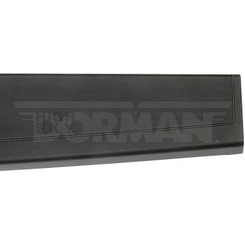 Dorman (OE Solutions) Tailgate Molding 925604-3