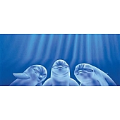 Vantage Point Window Graphics - Three Dolphins Design - 010042X