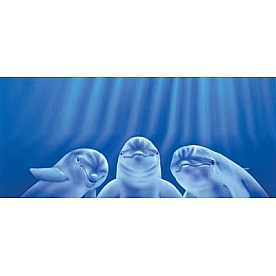 Vantage Point Window Graphics - Three Dolphins Design - 010042X