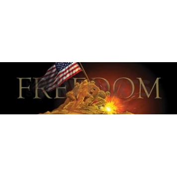 Vantage Point Window Graphics - Freedom Flag Raising Design - 010074L