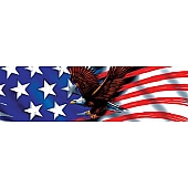 Vantage Point Window Graphics - Patriot Eagle Flight - 010076L