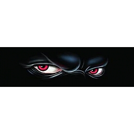 Vantage Point Window Graphics - Phantom Stare Design - 010078M