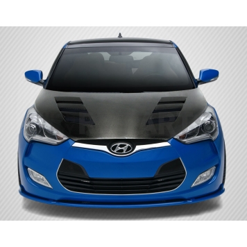 Extreme Dimensions Hood - Carbon Fiber Black - 112952