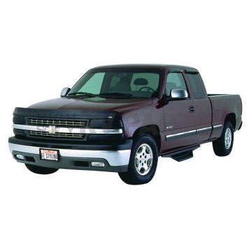 GT Styling Bug Shield - Composilite Carbon Fiber Hood And Fender - 75168X-7