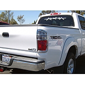 TFP (International Trim) Tail Light Molding - D-Style Chrome Plated - 384D