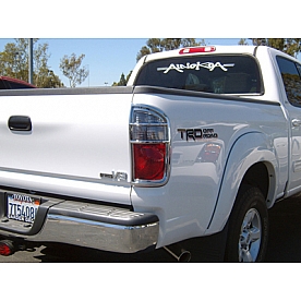 TFP (International Trim) Tail Light Molding - D-Style Chrome Plated - 384D