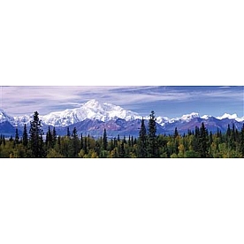Vantage Point Window Graphics - Alaska Range Denali - 100029L