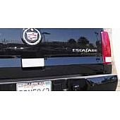 TFP (International Trim) Tailgate Handle Cover - Stainless Steel Silver - 400L