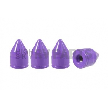 True Spike Lug Nut Cover - LGC044NP