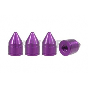 True Spike Lug Nut Cover - LGC044PR
