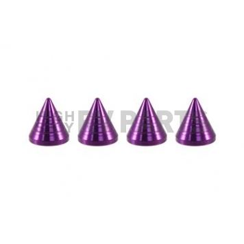 True Spike Lug Nut Cover - LGC011PR