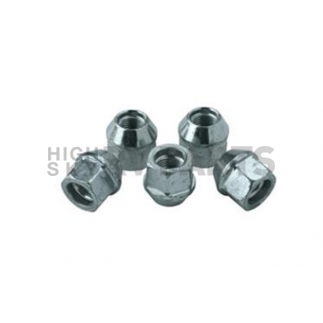 Ford Performance Lug Nut - M-1012-G