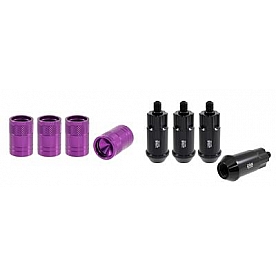 True Spike Wheel Lock - 14155LK409