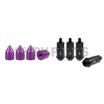 True Spike Wheel Lock - 14155LK430