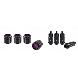 True Spike Wheel Lock - 14155LK149