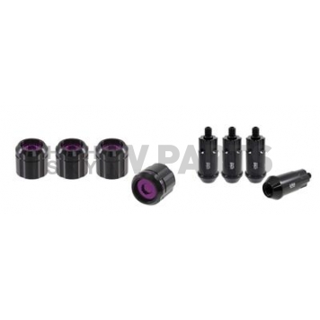 True Spike Wheel Lock - 14155LK149