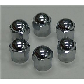 Wheel Master Valve Stem Cap 8030