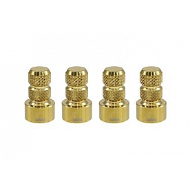 True Spike Valve Stem Cap WVC002CG