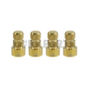 True Spike Valve Stem Cap WVC002CG