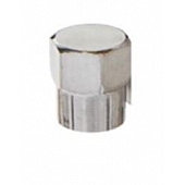 West Coast Wheel Accessories Valve Stem Cap W9902C